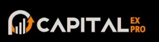 Capitalex Pro logo Capitalex Pro logo
