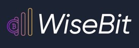 WiseBit.AI Logo WiseBit.AI Logo