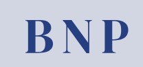 BNP Groups logo